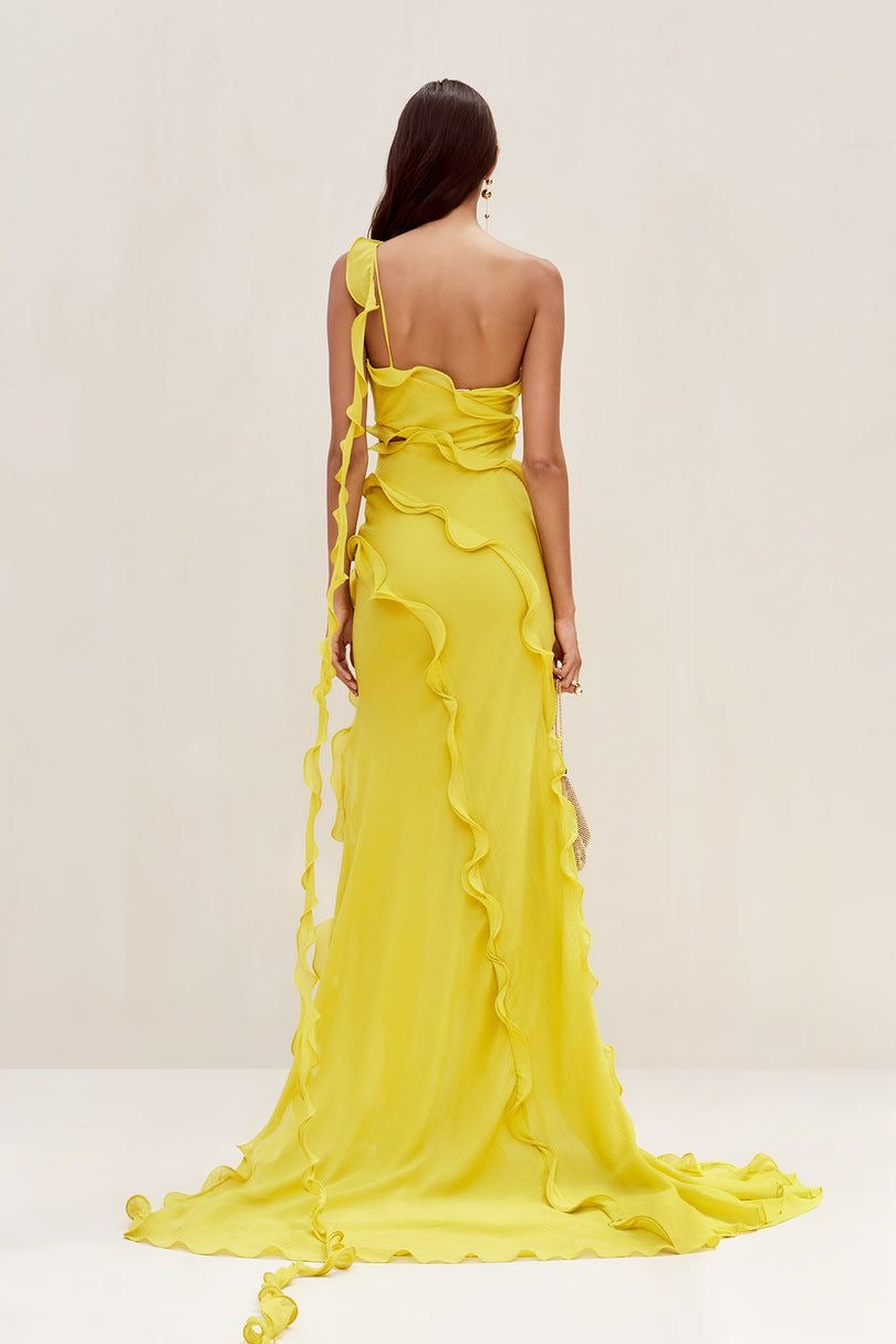 Long and beautiful, yellow dress with incredible details.